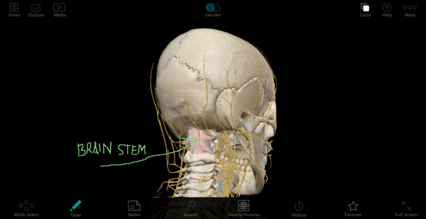 screen-shot-11-4-2016-8-24-37-am